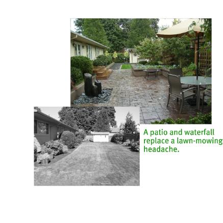 The before and after view of Harry's Backyard